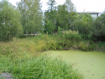 Обустройство пожарного водоема